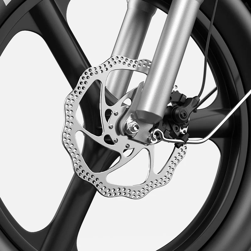 Dual Disc Brake