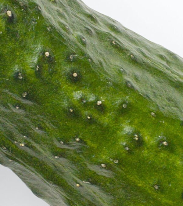 shop29-product-16-4 Product Image