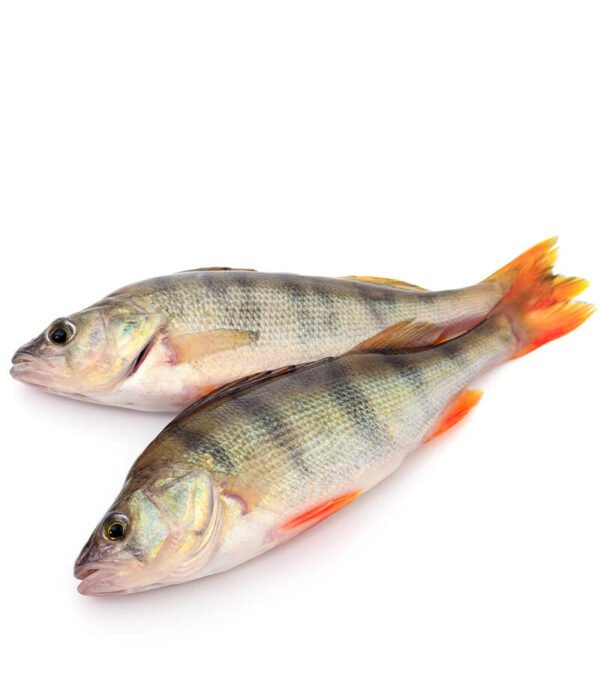 shop29-product-22-1 Product Image