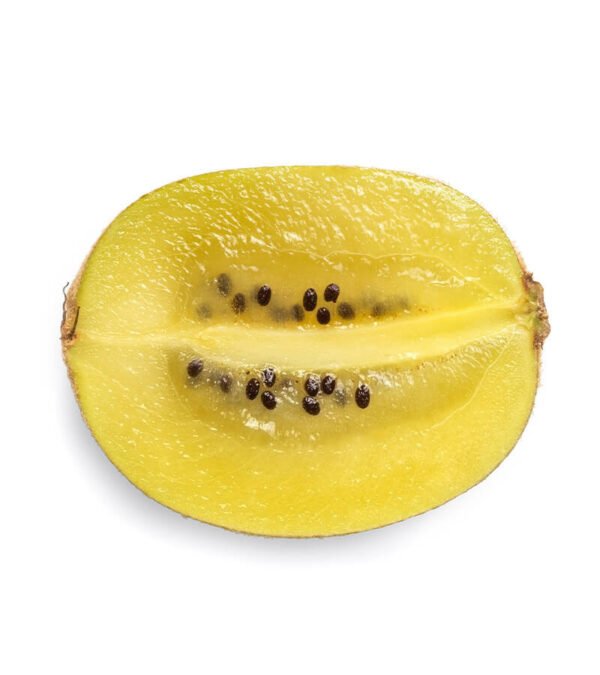 shop29-product-5-1 Product Image