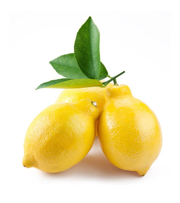 shop29-product-5-2 Product Image