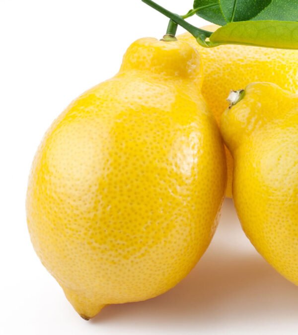 shop29-product-5-3 Product Image