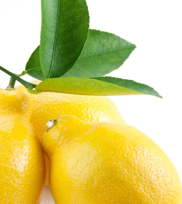 shop29-product-5-4 Product Image